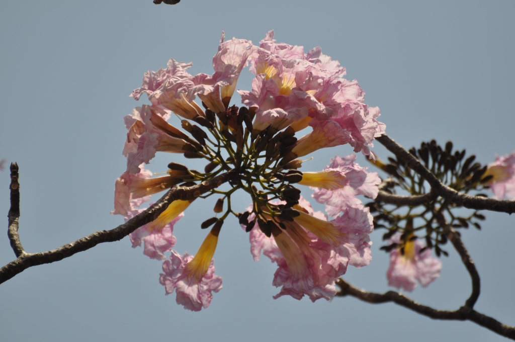 21 - Imagens do CEU.jpg